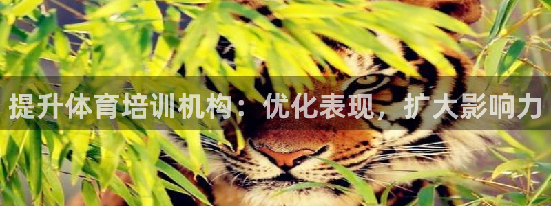 Z6尊龙凯时登录：提升体育培训机构：优化表现，扩大影