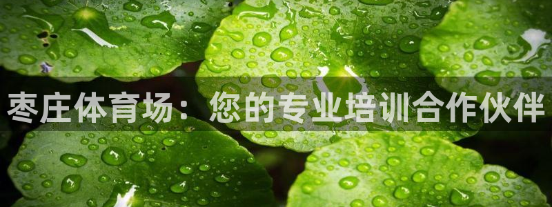 尊龙凯时始人生就是博：枣庄体育场：您的专业培训合作伙