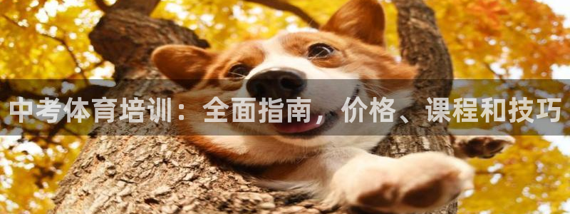尊龙凯时存款不上分