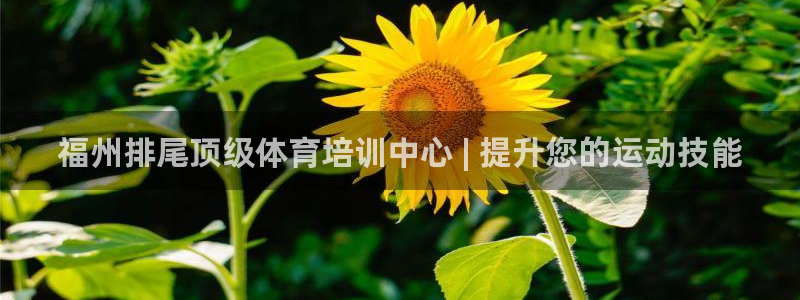 尊龙凯时和九游会哪个平台好一点
