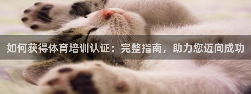 尊龙人生就是博网站下载