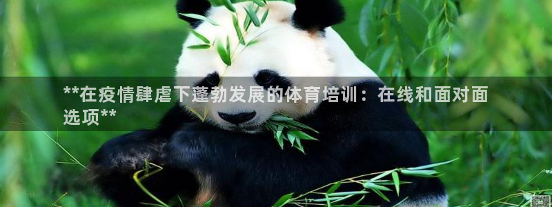 尊龙凯时是大平台吗