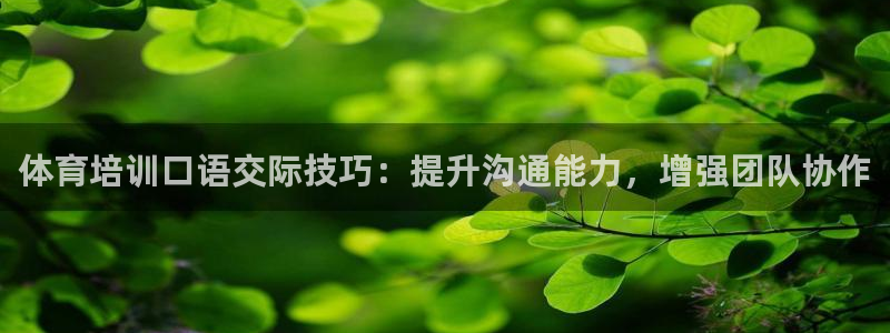 凯时官网手机版首页