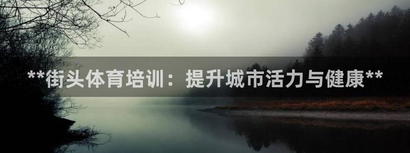 尊龙王t400