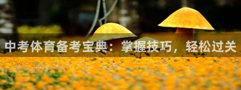 尊龙凯时提款一直审核中