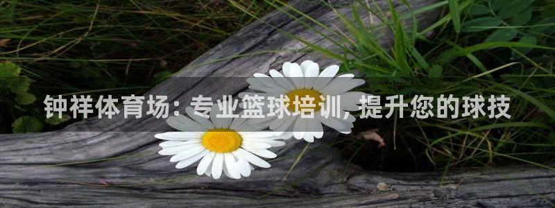 尊龙信息科技有限公司