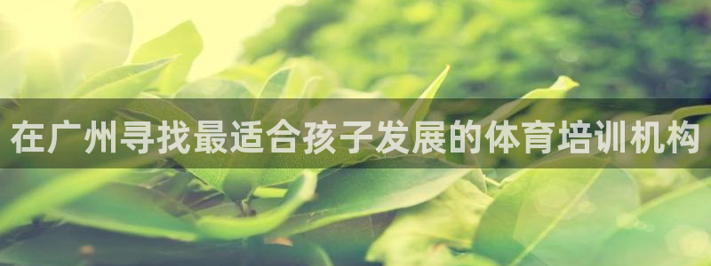 尊龙AG旗舰店