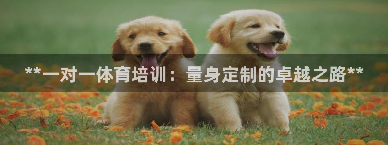 尊龙实业有限公司