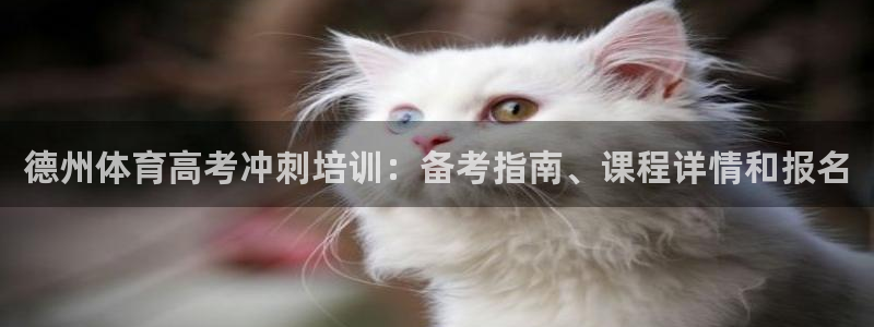 尊龙服饰有限公司地址