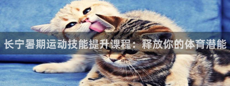 尊龙ag旗舰官网