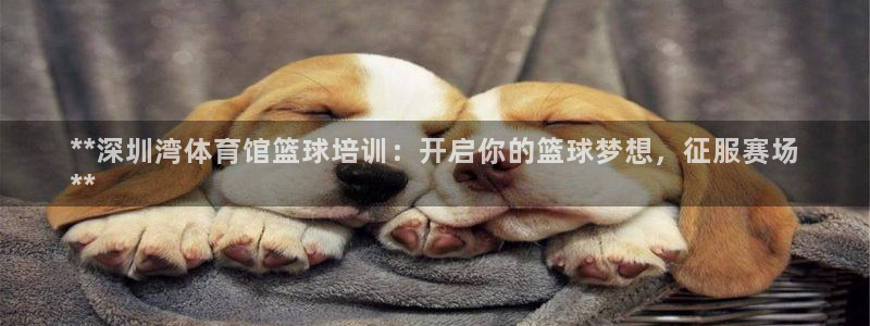尊龙凯时人生就博官网登录
