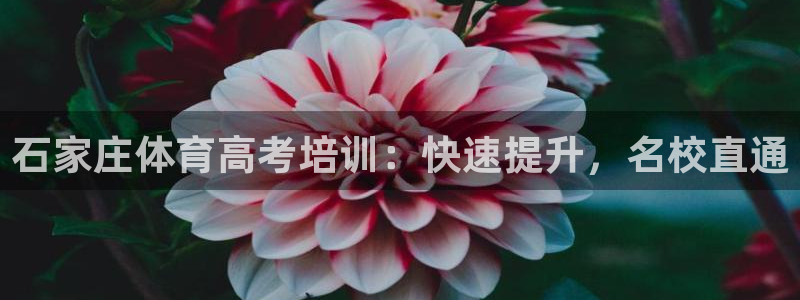 凯时k66官方发布