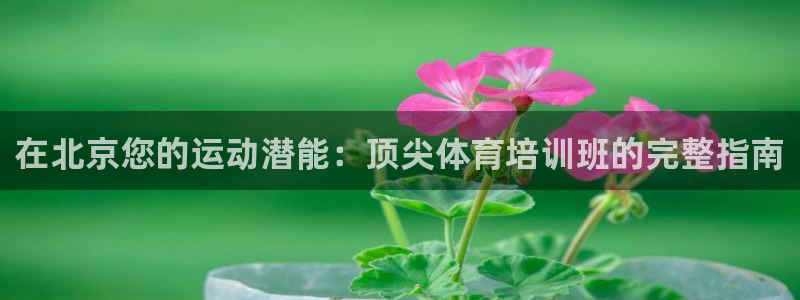 ag尊龙怎么样