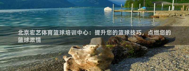 尊龙一人生就是博电子游戏：北京宏艺体育篮球培训中心：