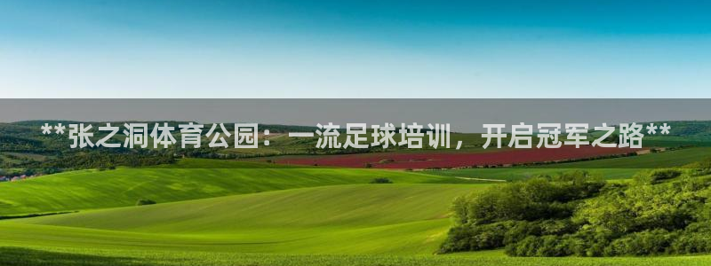 尊龙人生就是博登录网址下载：**张之洞体育公园：一流