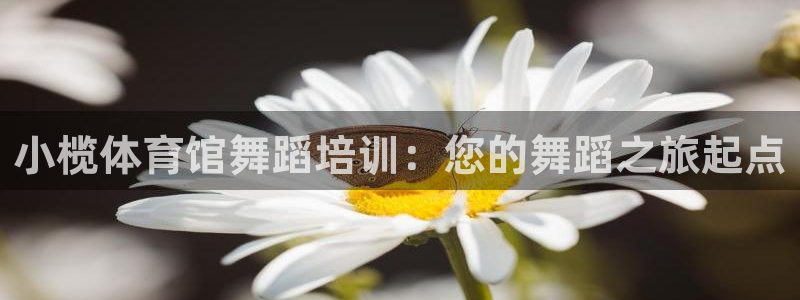 尊龙集团：小榄体育馆舞蹈培训：您的舞蹈之旅起点