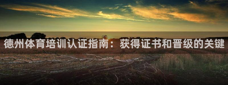 尊龙500价格：德州体育培训认证指南：获得证书和晋级