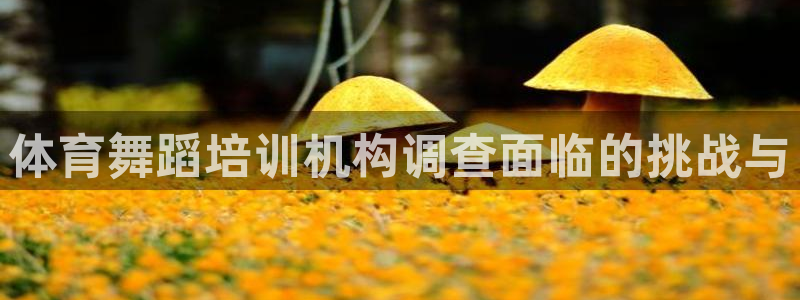 尊龙实业有限公司是正规还是仿：体育舞蹈培训机构调查面