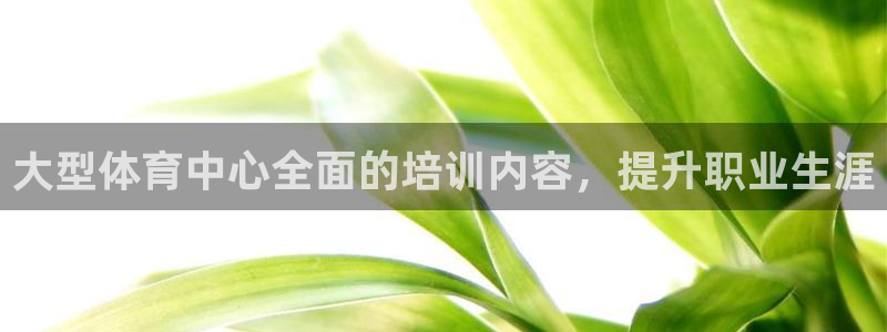 凯时尊龙app国际官方网站：大型体育中心全面的培训内容，提升