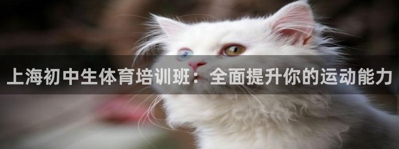 尊龙现在：上海初中生体育培训班：全面提升你的运动能力