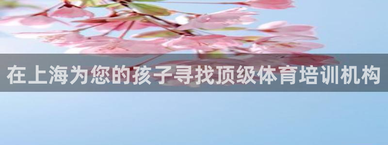 尊龙凯时网站是什么地方人开的：在上海为您的孩子寻找顶