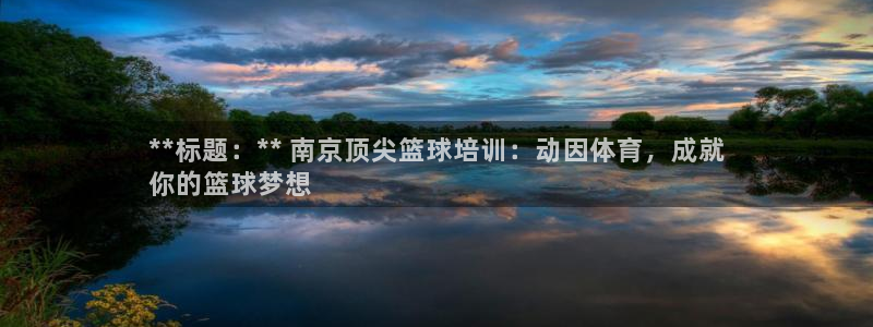 尊龙凯时百万奖池：**标题：** 南京顶尖篮球培训：