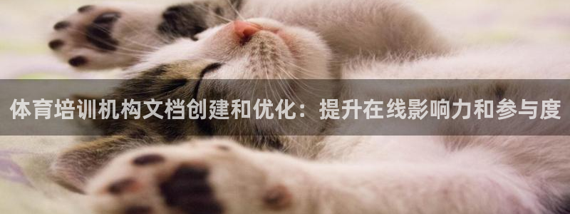 尊龙人品怎么样：体育培训机构文档创建和优化：提升在线影响力和