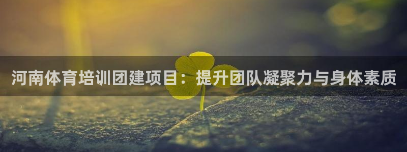 d88尊龙可靠送38元：河南体育培训团建项目：提升团