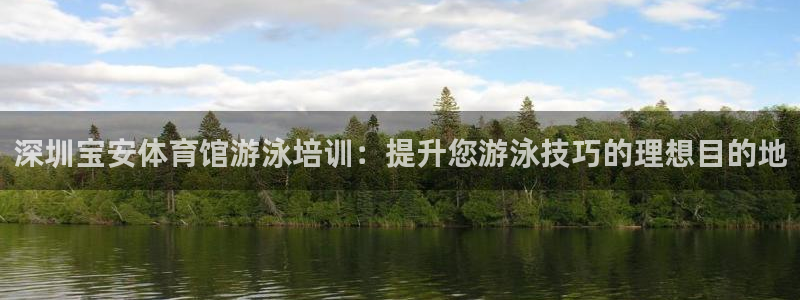 尊龙 6：深圳宝安体育馆游泳培训：提升您游泳技巧的理