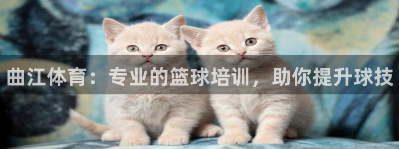 尊龙ag旗舰厅官网官方入口：曲江体育：专业的篮球培训，助你提