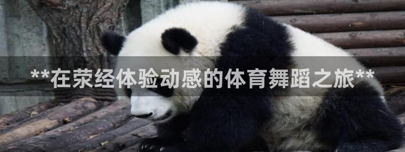 尊龙凯时新闻：**在荥经体验动感的体育舞蹈之旅**