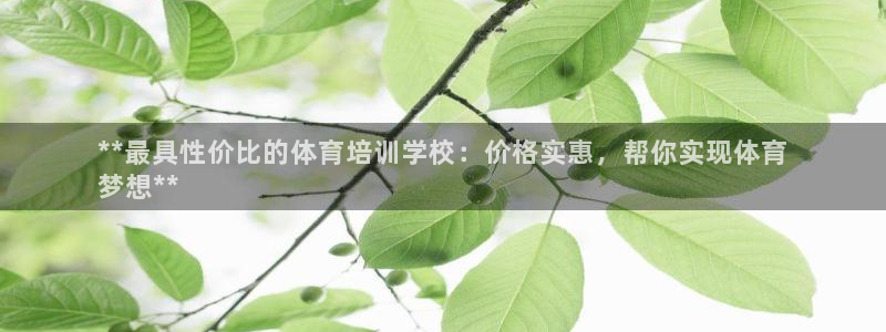尊龙内地：**最具性价比的体育培训学校：价格实惠，帮