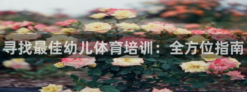 尊龙现金推荐ag发财网：寻找最佳幼儿体育培训：全方位指南