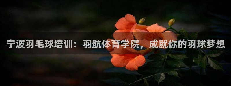 尊龙官网网站：宁波羽毛球培训：羽航体育学院，成就你的