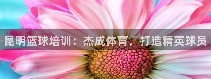 尊龙凯时取款不成功：昆明篮球培训：杰成体育，打造精英