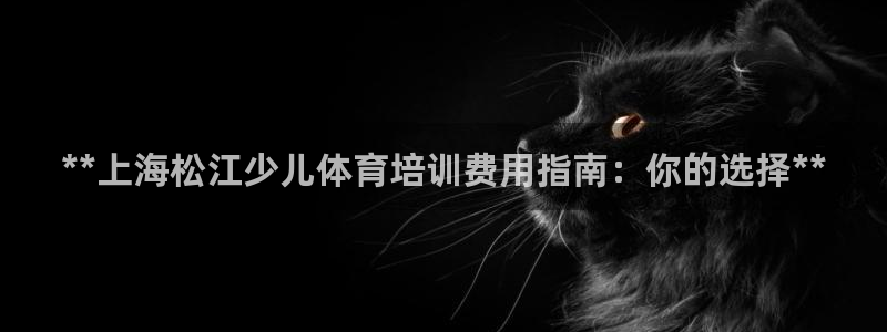 尊龙凯时取款24小时不到账：**上海松江少儿体育培训