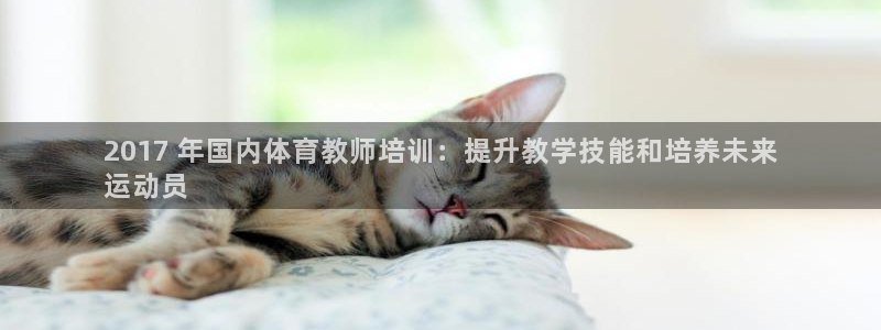 尊龙凯时网站不让提款：2017 年国内体育教师培训：