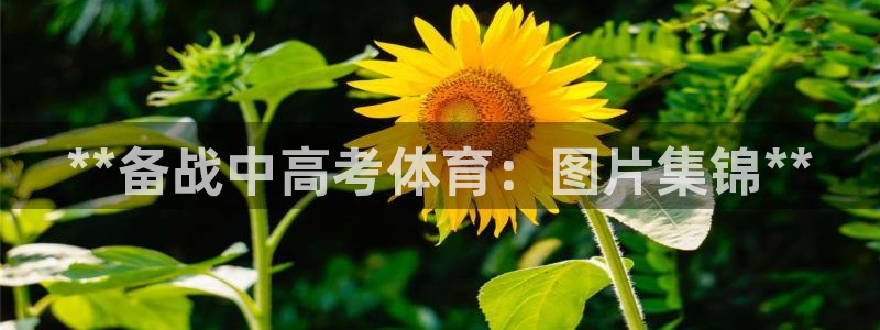 尊龙z6集团：**备战中高考体育：图片集锦**