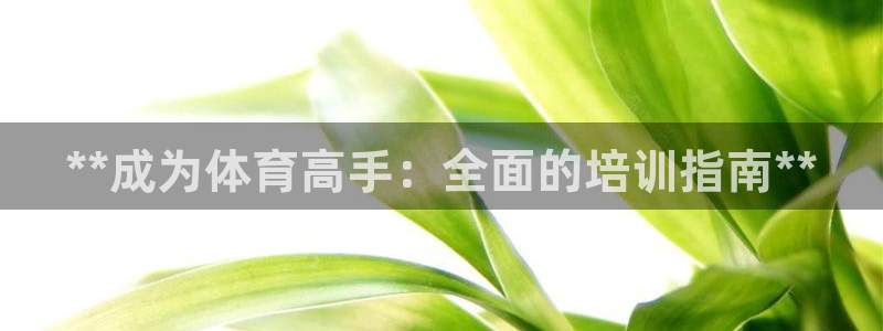 尊龙t600怎么样：**成为体育高手：全面的培训指南