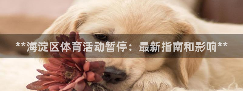 尊龙凯时人生就是搏·(中国)官网：**海淀区体育活动