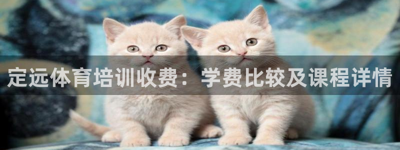 尊龙人生就是博AG：定远体育培训收费：学费比较及课程