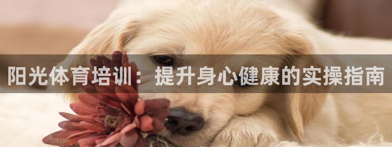 尊龙目前在哪：阳光体育培训：提升身心健康的实操指南