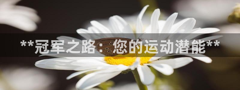 尊龙人生就是博l：**冠军之路：您的运动潜能**