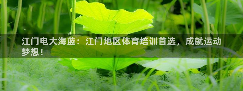 尊龙d88官网QU来就送38：江门电大海蓝：江门地区