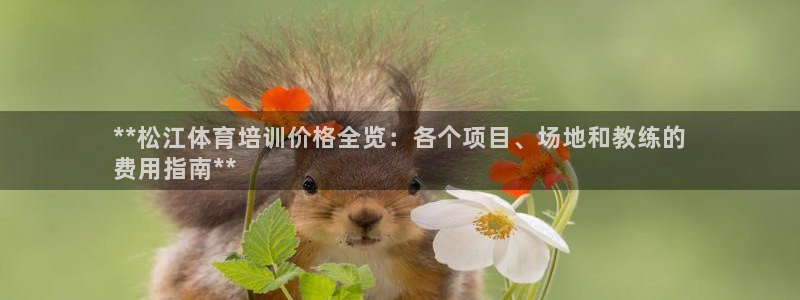 尊龙app怎么样：**松江体育培训价格全览：各个项目