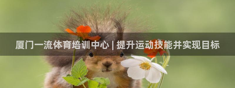 尊龙手机客户端下载：厦门一流体育培训中心 | 提升运