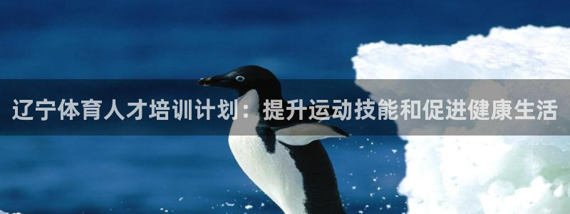 尊龙实业：辽宁体育人才培训计划：提升运动技能和促进健