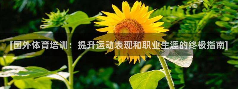 凯时国际平台有人赢吗：[国外体育培训：提升运动表现和