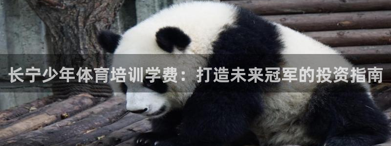 AG尊龙凯时注册：长宁少年体育培训学费：打造未来冠军的投资指