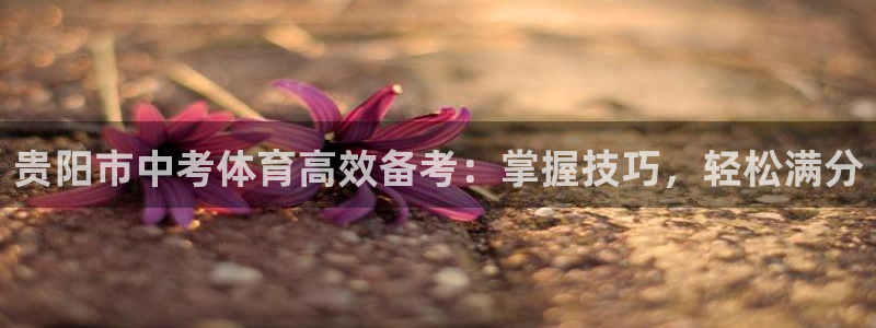 下载凯时AG旗舰厅首页